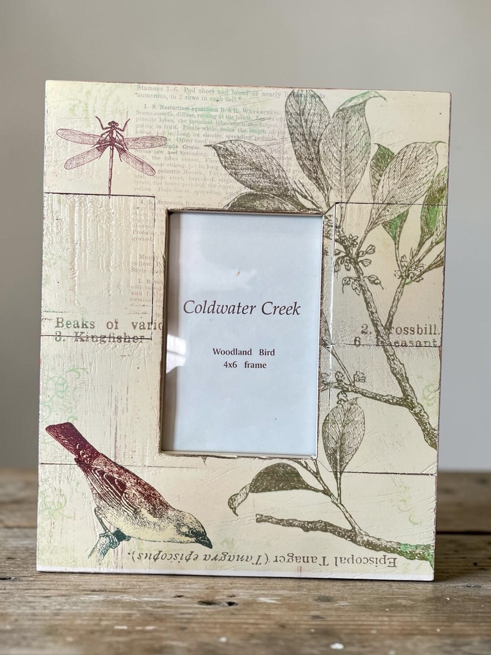 Coldwater Creek, Woodland bird photo frame, wood frame, fits 4x6” photo,vintage
